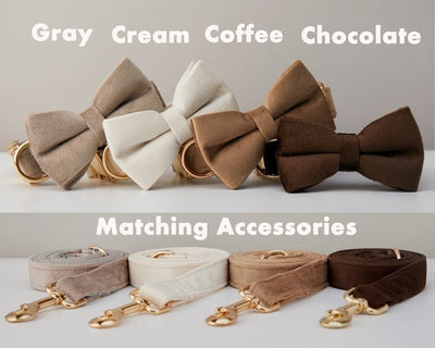 luxury velvet dog collar and leash set with bow tie