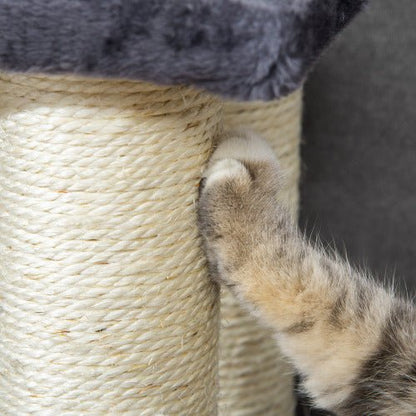 indoor cat climbing 4-step pet stairs to reach couch