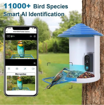 1080p hd solar powered smart bird feeder camera with wifi app control