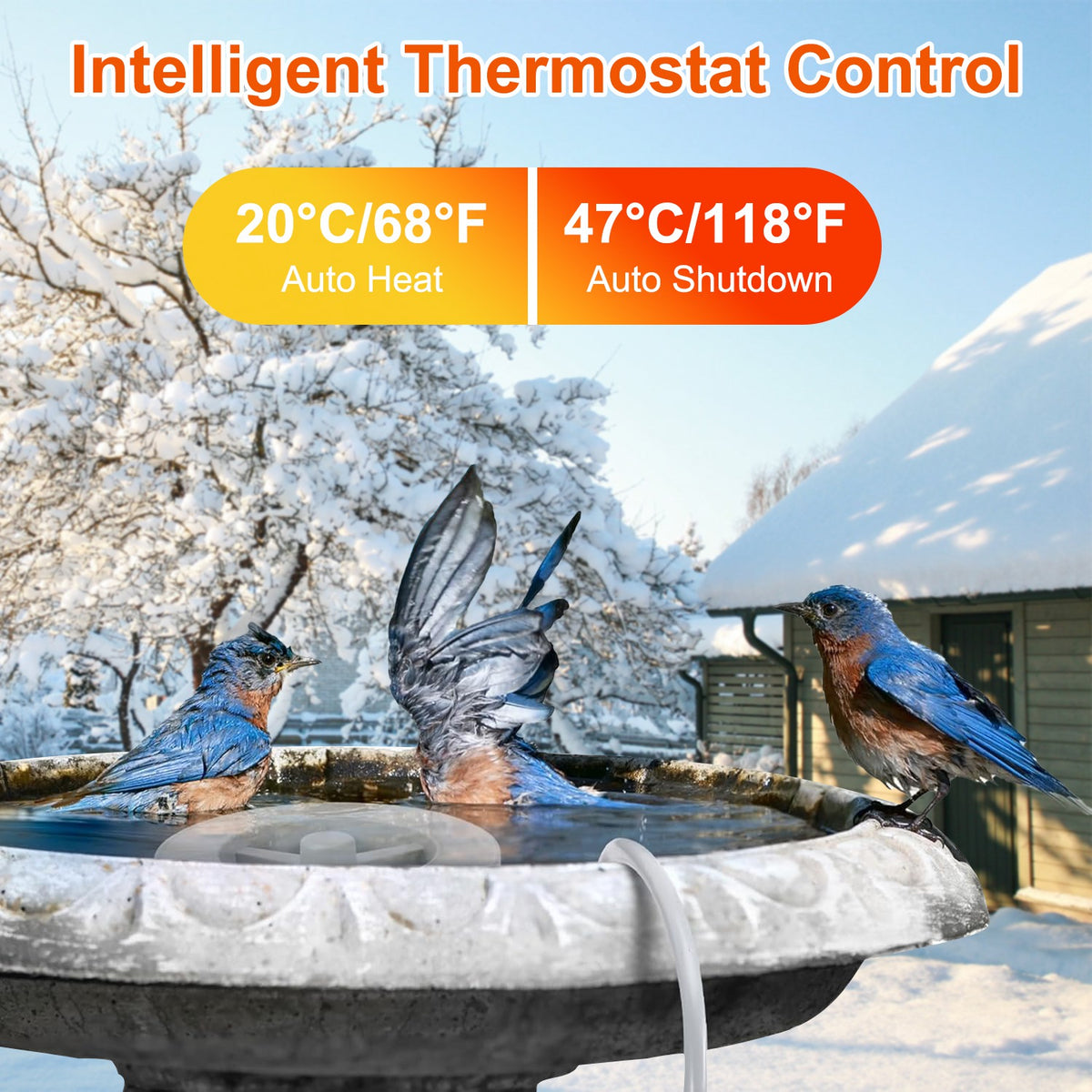 smart thermostatic bird bath heater deicer 70w for winter