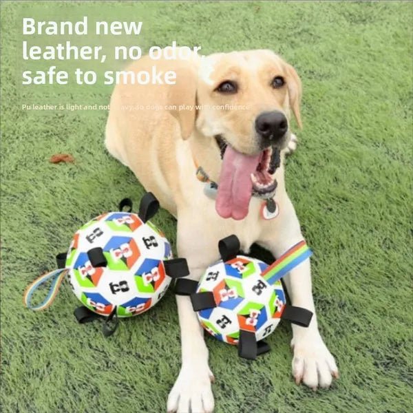 dog playing tug of war with soccer ball straps