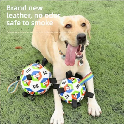 dog playing tug of war with soccer ball straps