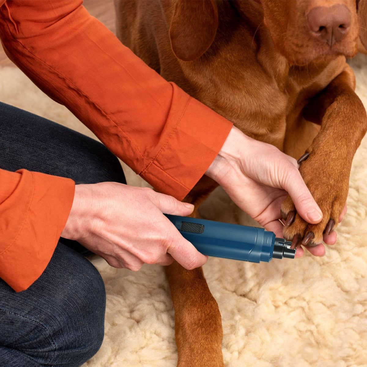 low noise dog nail trimmer grinding claw safely