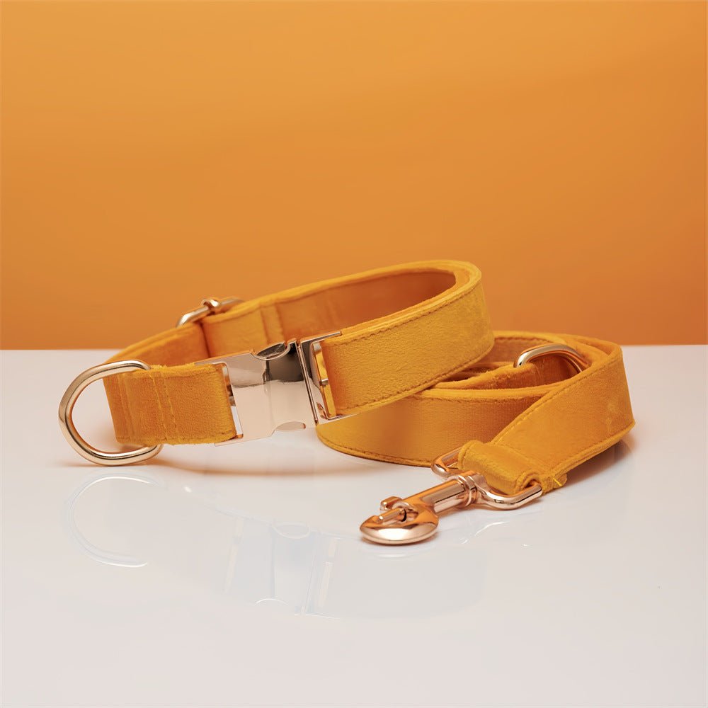 luxury velvet dog collar and leash set with bow tie