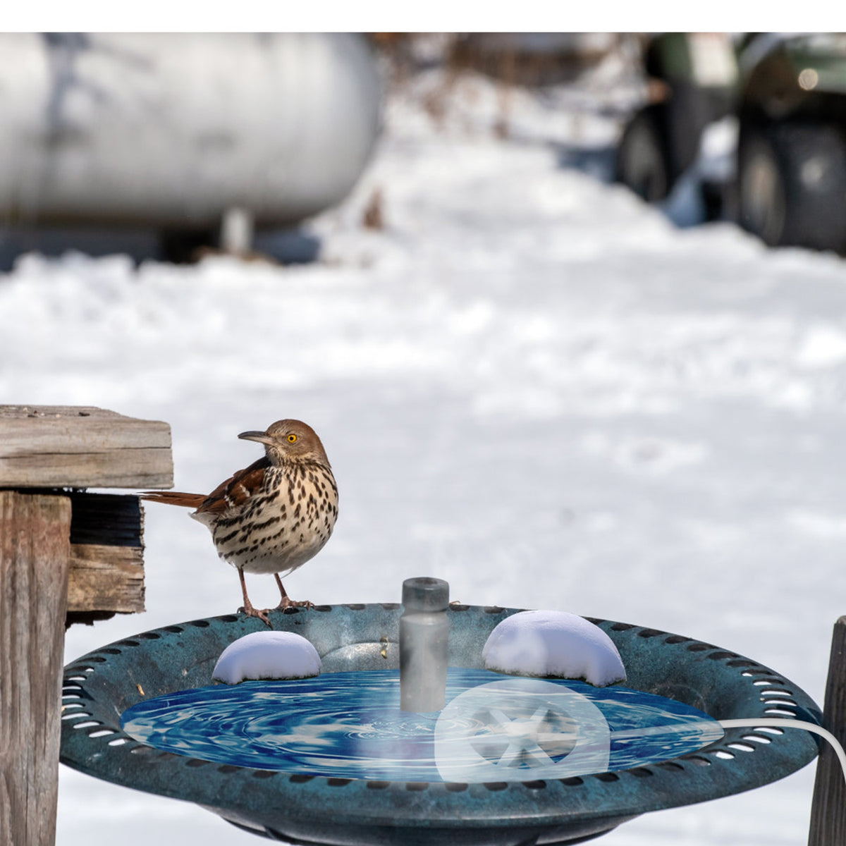 smart thermostatic bird bath heater deicer 70w for winter