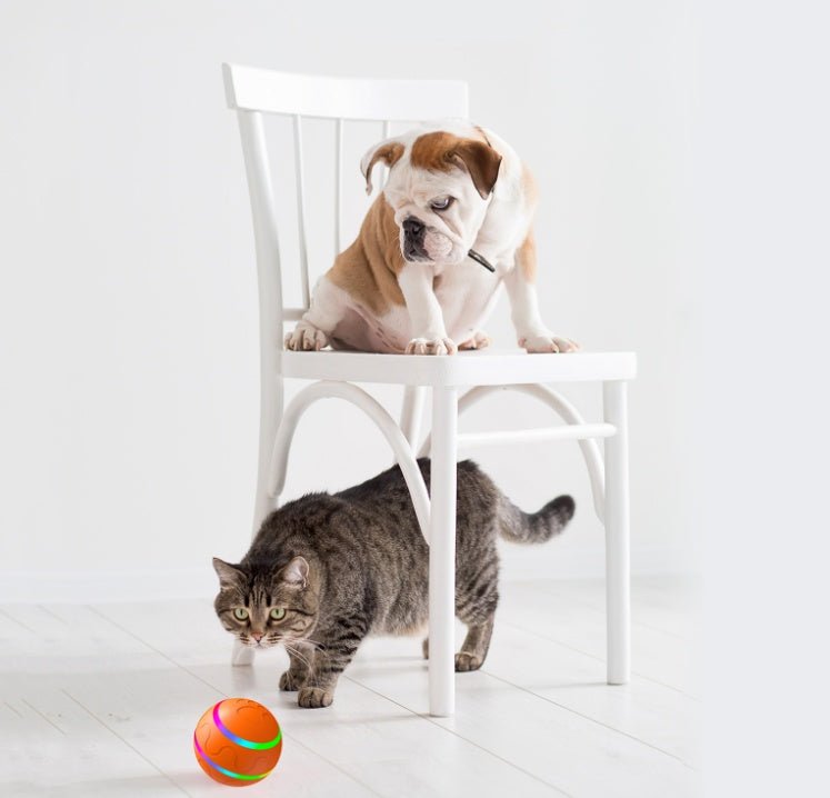 interactive smart rolling cat ball toy with remote control