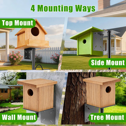 heavy duty squirrel proof bird feeder pole with 5 prong base