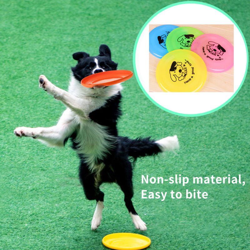 interactive flying disc dog training toy for fetch