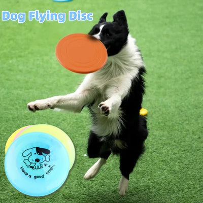 interactive flying disc dog training toy for fetch