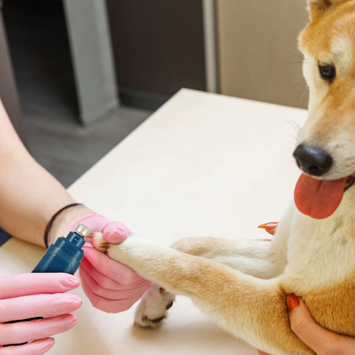 low noise dog nail trimmer grinding claw safely