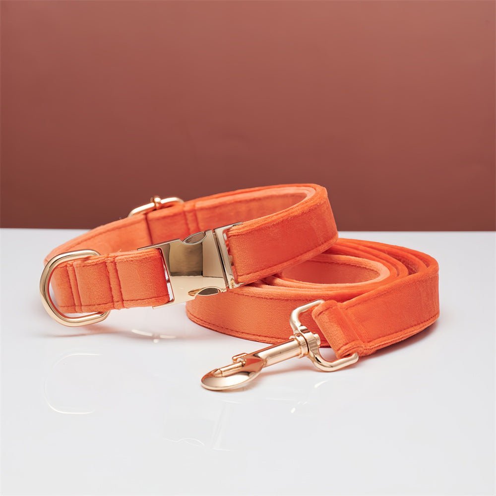 luxury velvet dog collar and leash set with bow tie